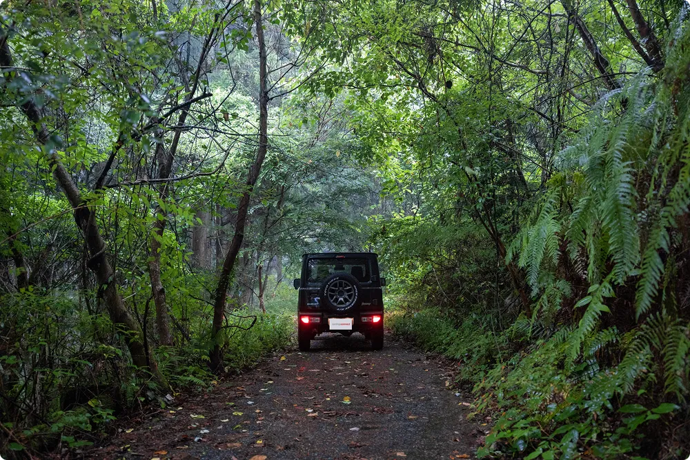 シートカバー カラー