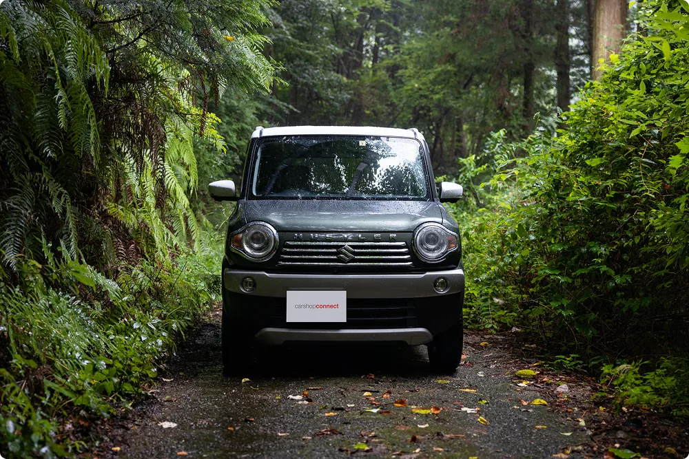 シートカバー カラー