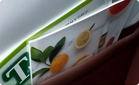 バックポケット付き