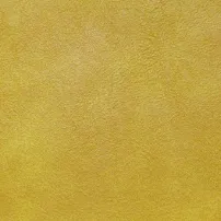 マスタード