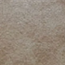 Sandii