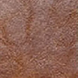 Sandii